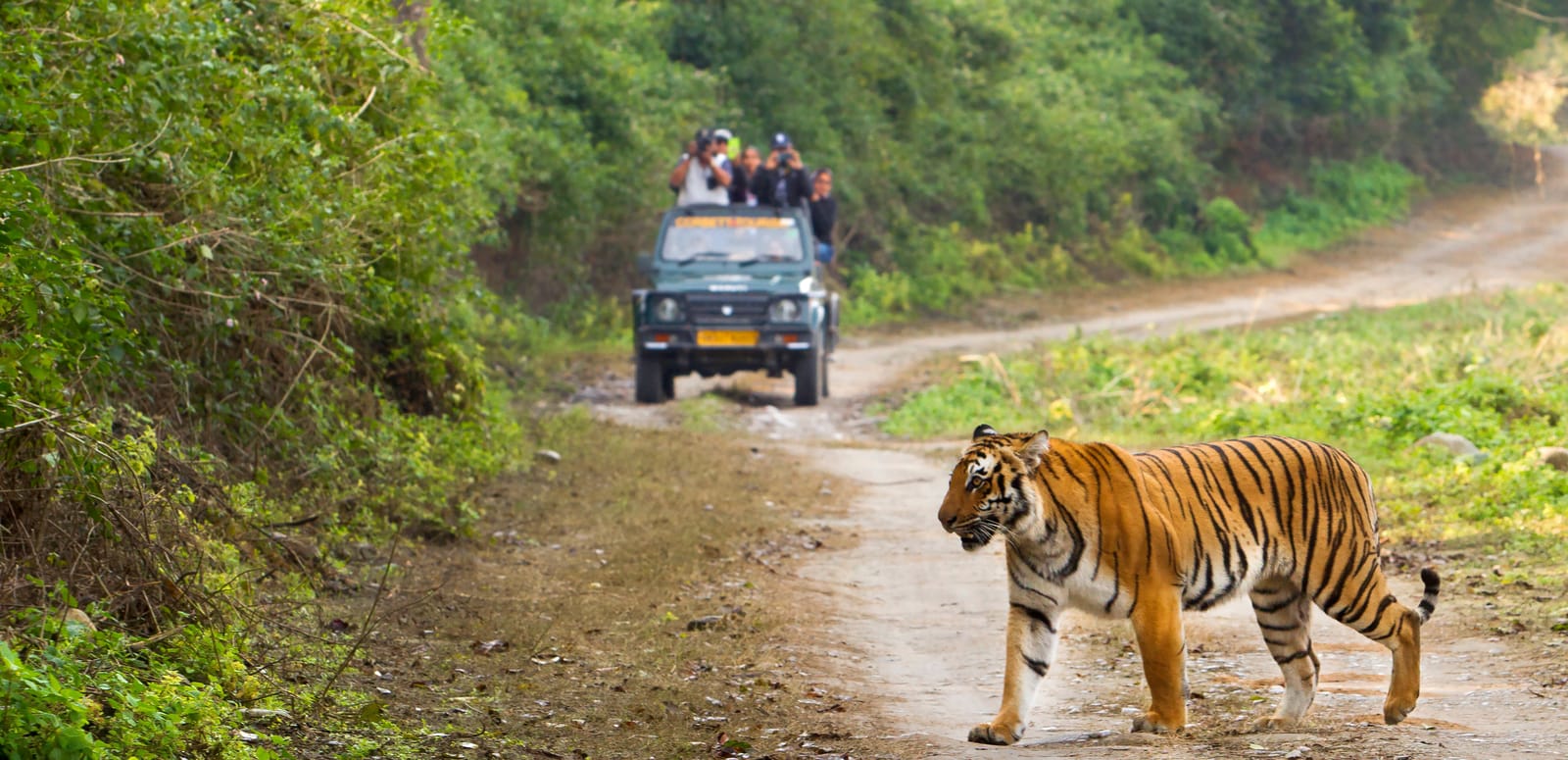 Aegiscabs 860503294Jim Corbett.jpg